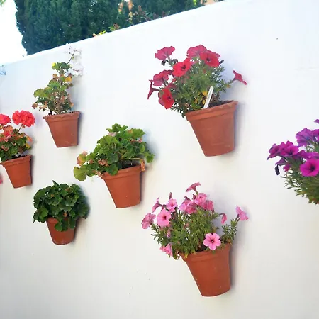 En Sancti Petri * 诺沃桑克蒂佩特里