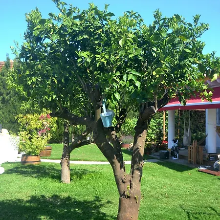Holiday home En Sancti Petri *